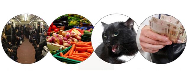 Infektionsmethoden durch Parasiten