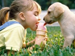 ein Mädchen isst mit einem Hund Eis und infiziert sich mit Parasiten